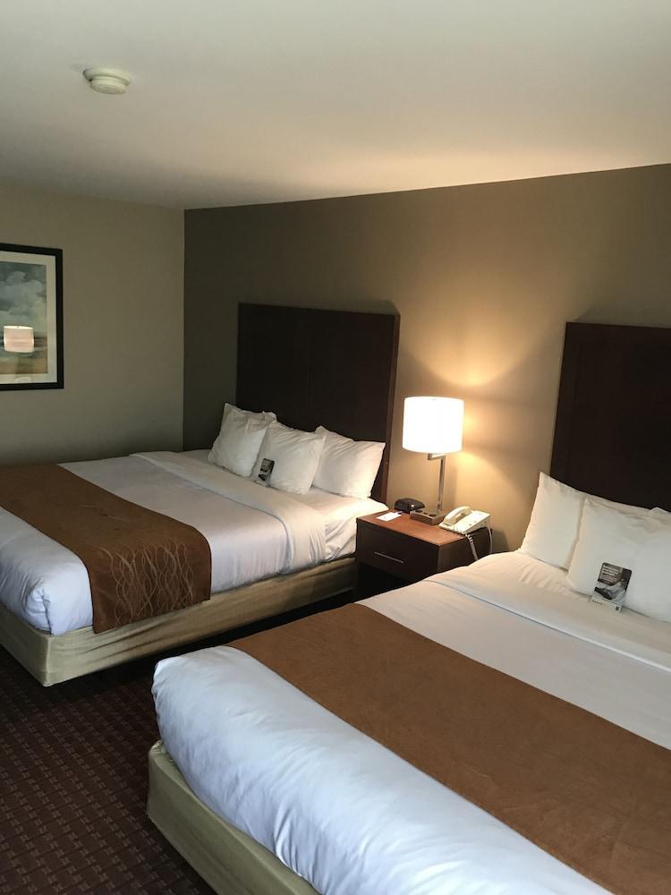 Comfort Inn Silicon Valley East Фремонт Экстерьер фото