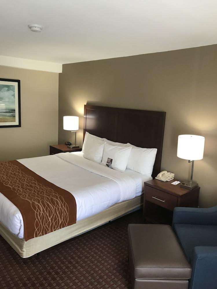 Comfort Inn Silicon Valley East Фремонт Экстерьер фото