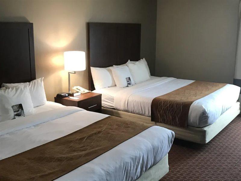 Comfort Inn Silicon Valley East Фремонт Экстерьер фото