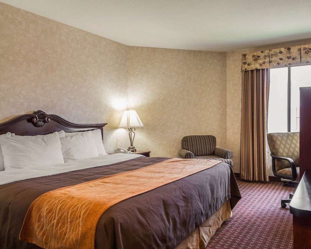 Comfort Inn Silicon Valley East Фремонт Номер фото