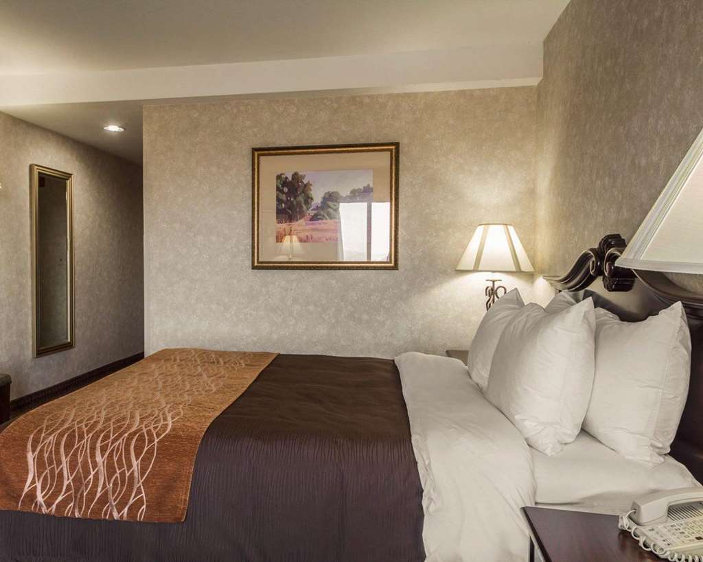 Comfort Inn Silicon Valley East Фремонт Номер фото