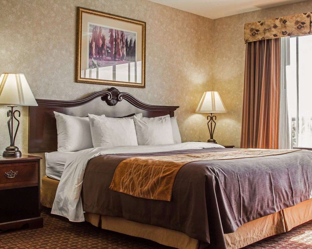 Comfort Inn Silicon Valley East Фремонт Номер фото