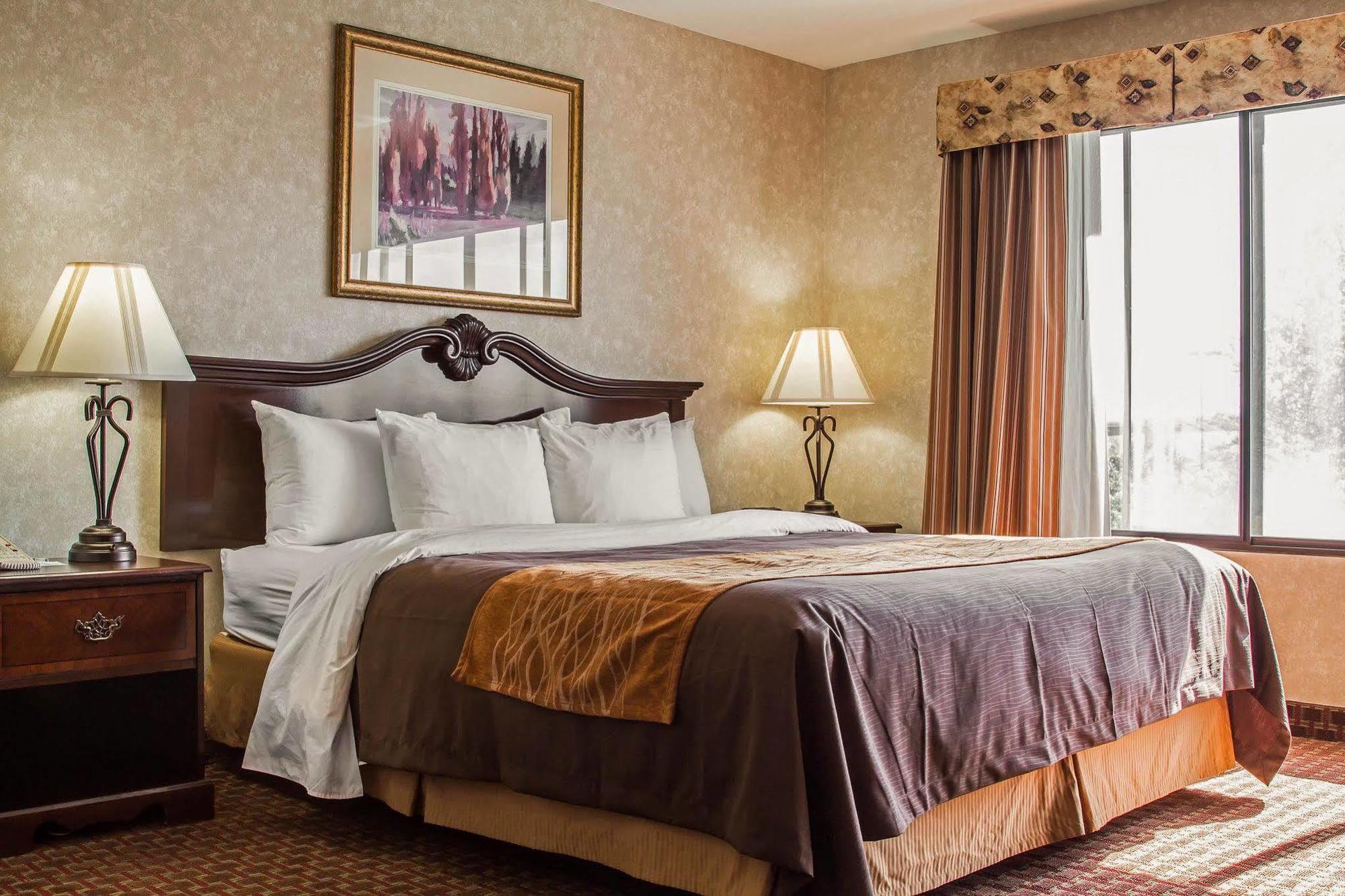 Comfort Inn Silicon Valley East Фремонт Экстерьер фото